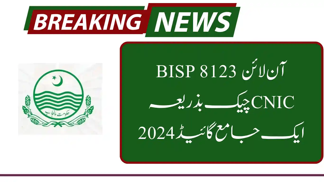 BISP 8123 Online Check By CNIC A Comprehensive Guide