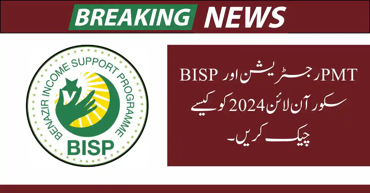 How to Check BISP Registration and PMT Score Online
