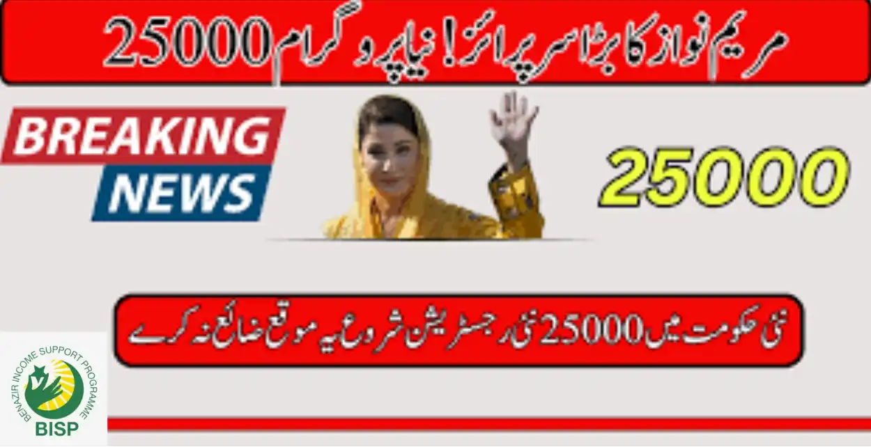 مریم نواز کو بڑا سرپرائز! نیا پروگرام 25000 (جون 2024)